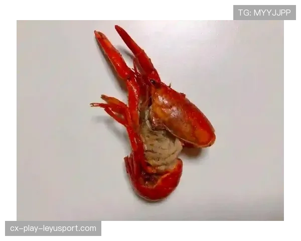 🍗 宵夜天花板！适合看球夜的麻辣小龙虾外卖红黑榜，千万别踩雷